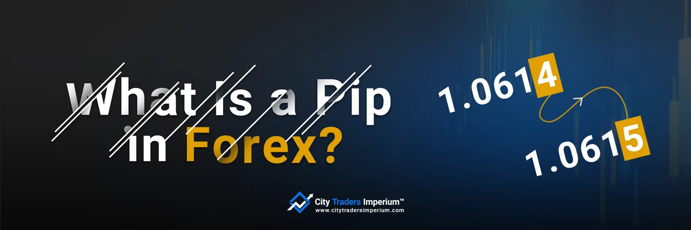 What Is a Pip in Forex